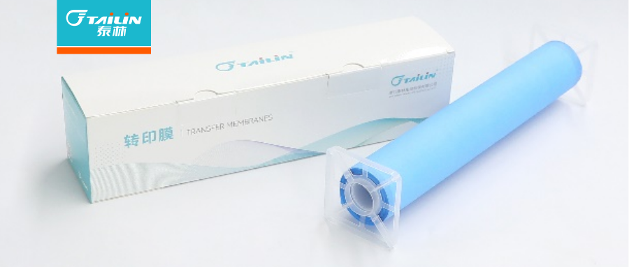 泰林 Immutailin? PVDF轉印膜新品上市